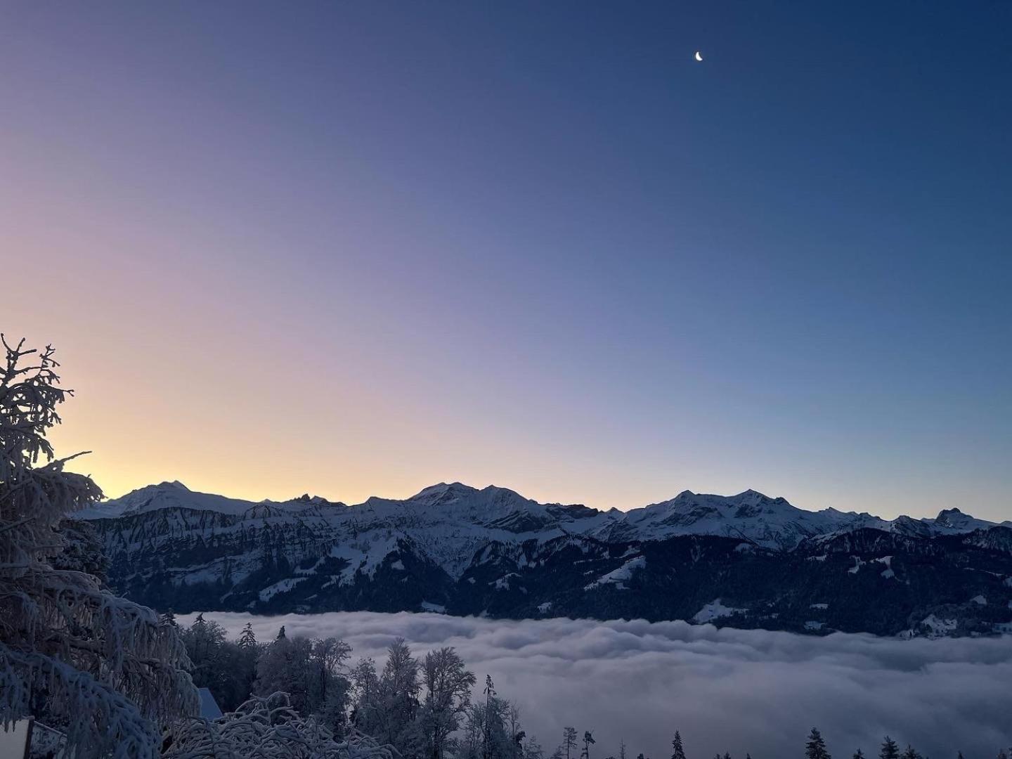 Chalet Friesli Beatenberg Zewnętrze zdjęcie