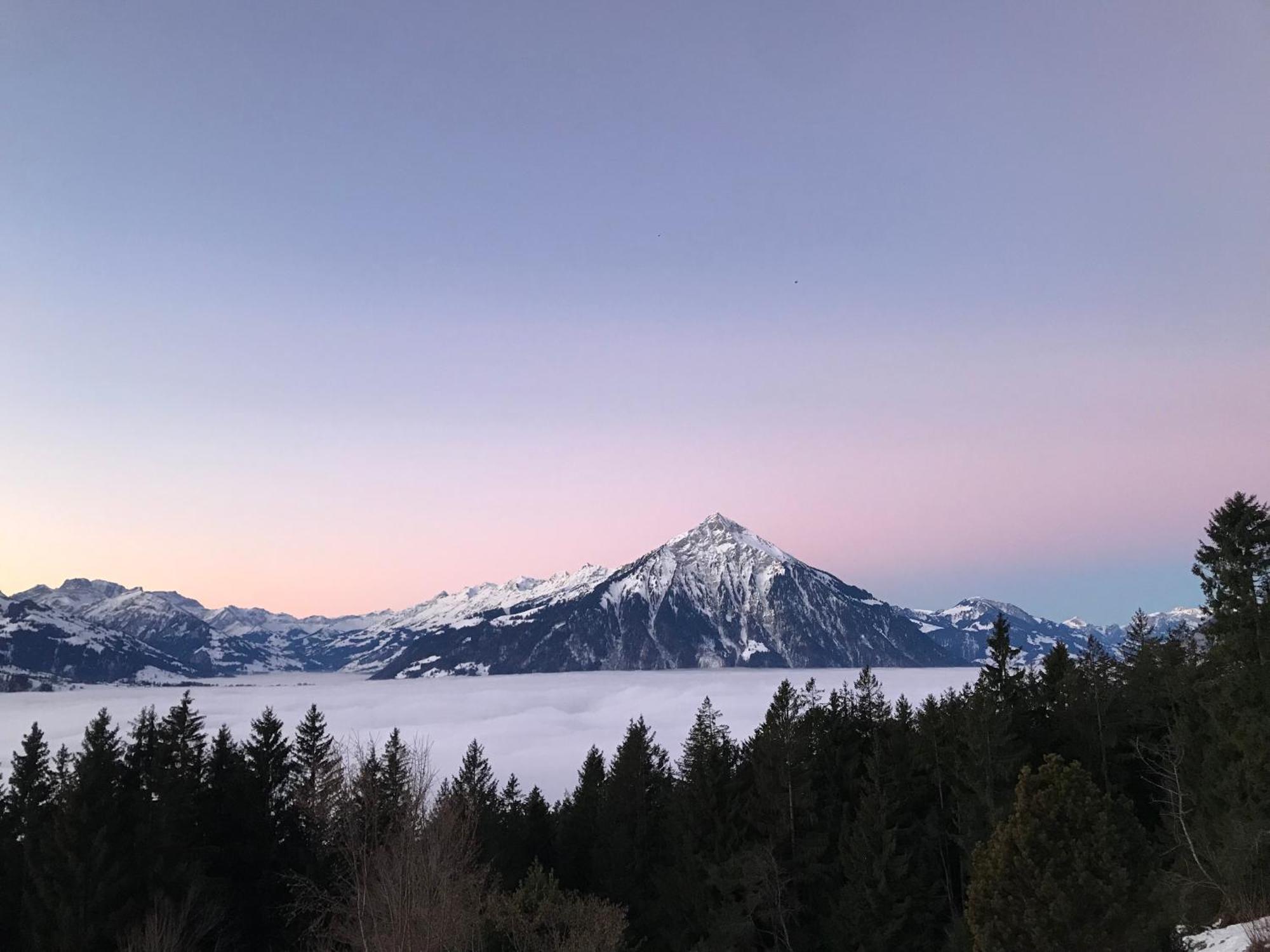 Chalet Friesli Beatenberg Zewnętrze zdjęcie