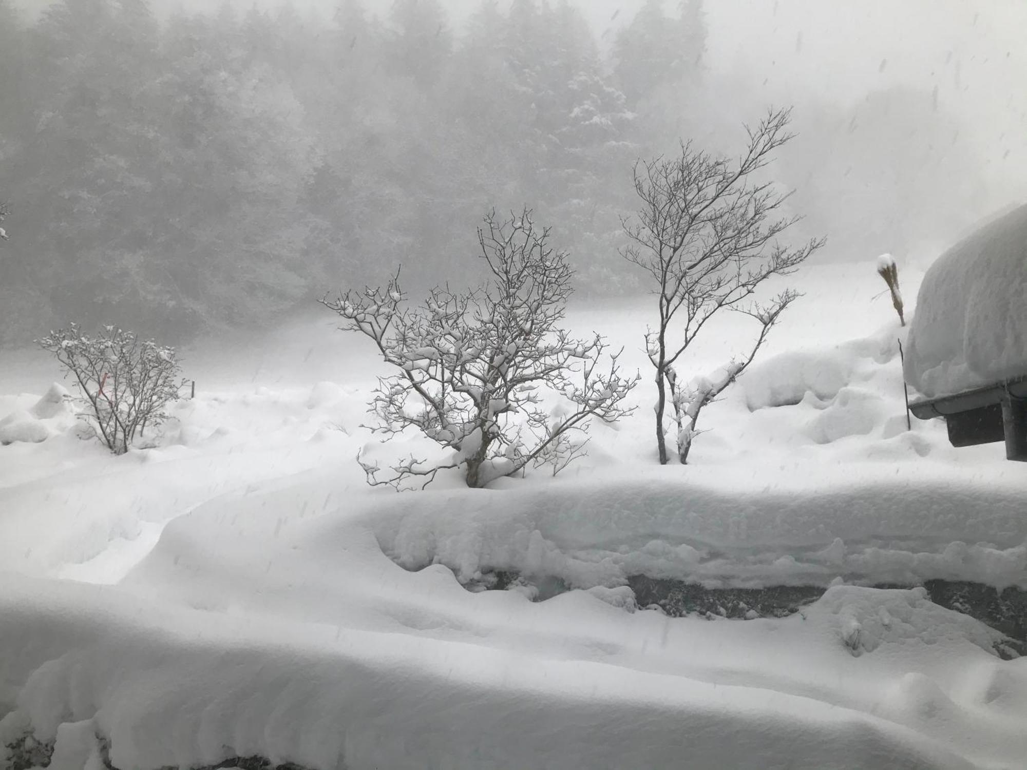 Chalet Friesli Beatenberg Zewnętrze zdjęcie