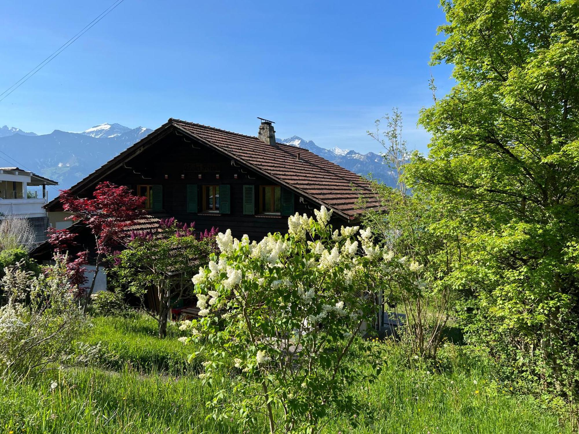 Chalet Friesli Beatenberg Zewnętrze zdjęcie