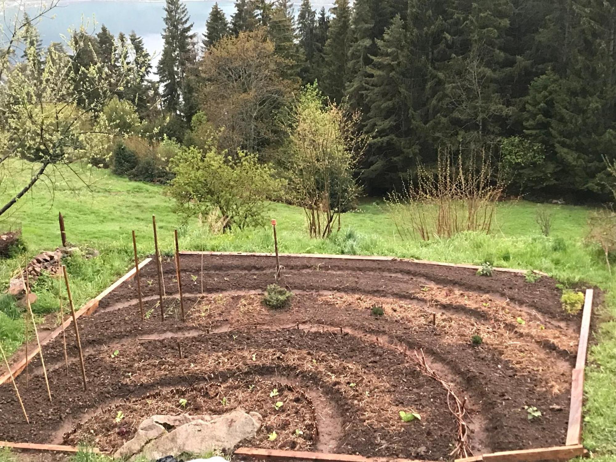 Chalet Friesli Beatenberg Zewnętrze zdjęcie